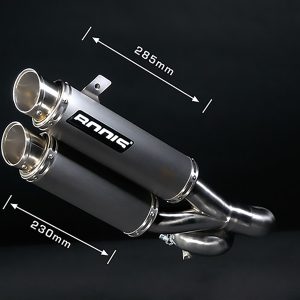 Bodis Auspuff GPX2-S Yamaha FZ1 2006-2016 Edelstahl/Geschliffen